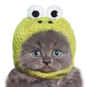 Avatar ansiomi