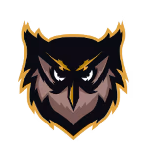 Avatar dsowl