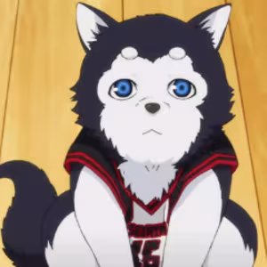 Avatar elkarambik