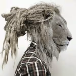 Avatar kvadrat0n