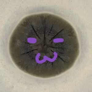 Avatar moldy_mad