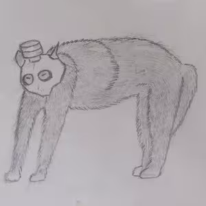 Avatar salvatororo