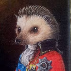 Avatar sir__hedgehogg
