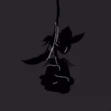 Avatar 250bpm