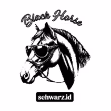 Avatar b1ack_horse
