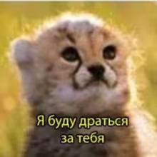 Avatar beesqt14
