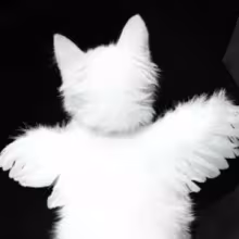 Avatar cbataya_mamo4kaa