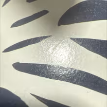 Avatar eagleindesert