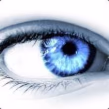 Avatar gammi_ua