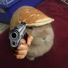 Avatar gentle_ghoul9