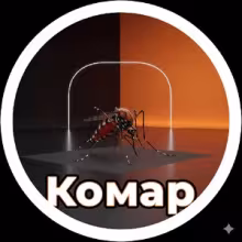 Avatar kamarstoned