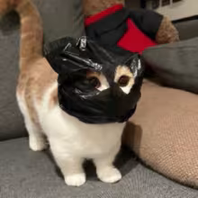 Avatar kikillo_o