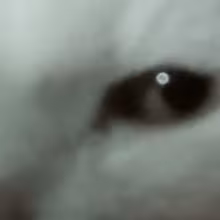 Avatar kirix_005