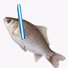 Avatar kurusik564664