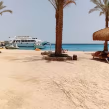 Avatar lewinj_nabloke