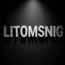 Avatar litomsnig