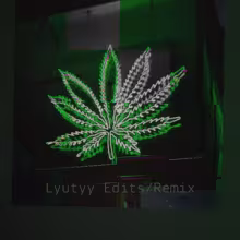Avatar lyutyy_hamer