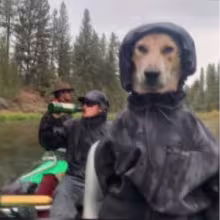 Avatar maksimkabeats