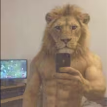 Avatar malyacs