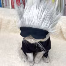 Avatar meepohisto