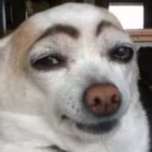 Avatar mehanik9_