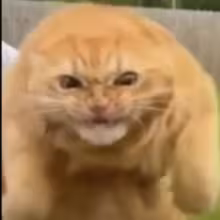 Avatar naktyrik_ymnikshkolnik228