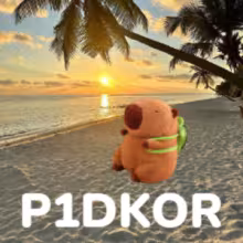 Avatar p1dkor