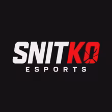 Avatar snitko_esports
