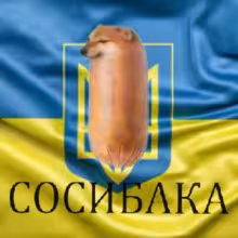 Avatar sosubaka_