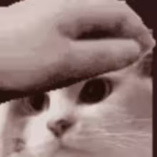 Avatar ubublya