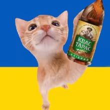 Avatar vad1miiiiiiiii