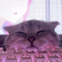 Avatar vilyskaa