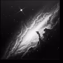 Avatar wolteriaiki