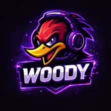 Avatar woody_gx