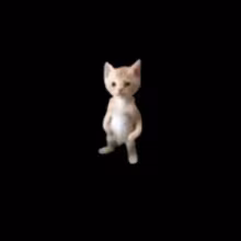 Avatar xanixyan
