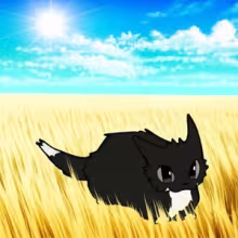 Avatar xarchick_mn