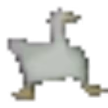 Avatar xibi1