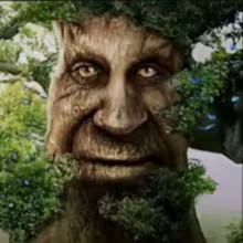 Avatar aalukard8