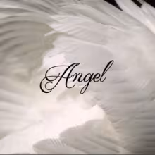Avatar angel333qr