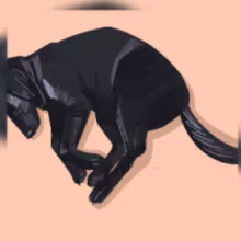 Avatar annalitmyst