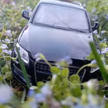 Avatar audist2011