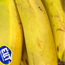 Avatar bananch1k_19
