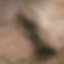 Avatar brainrotgamingchannel