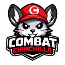 Avatar combat_chinchilla