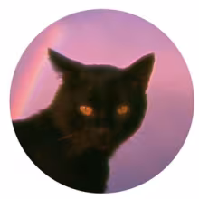 Avatar daikiri_qq