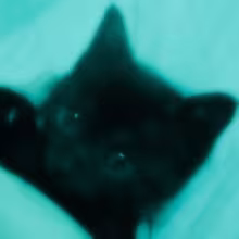 Avatar damikoria