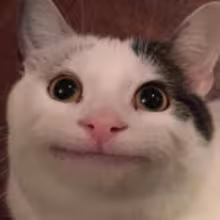 Avatar domxmik