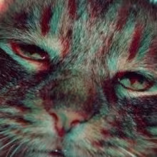 Avatar gabbinoid