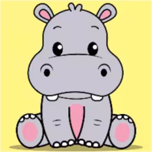 Avatar hippo_zoom