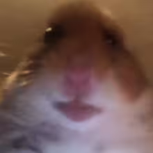 Avatar imjonjonn